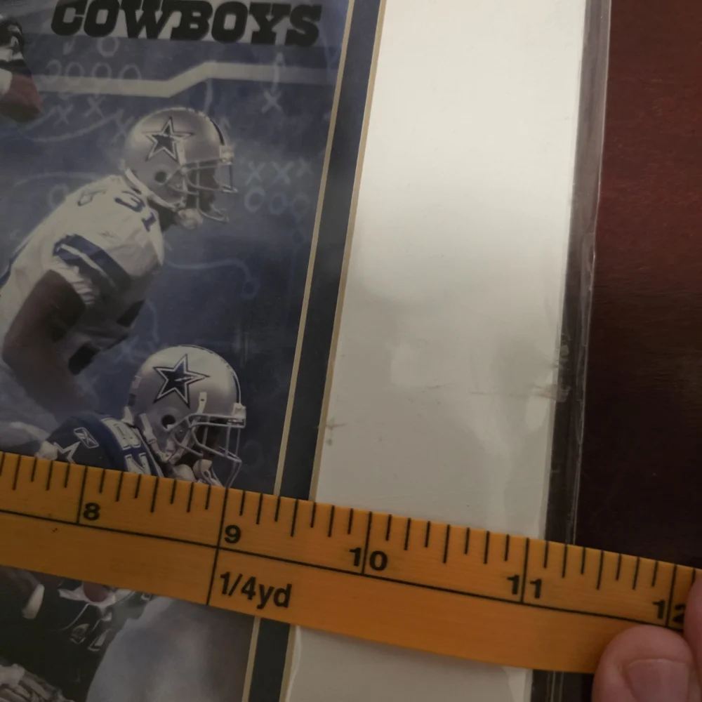 2004 Dallas Cowboys Team Photo Collage (Officially Licensed NFL Collectible) - Picture 6 of 7